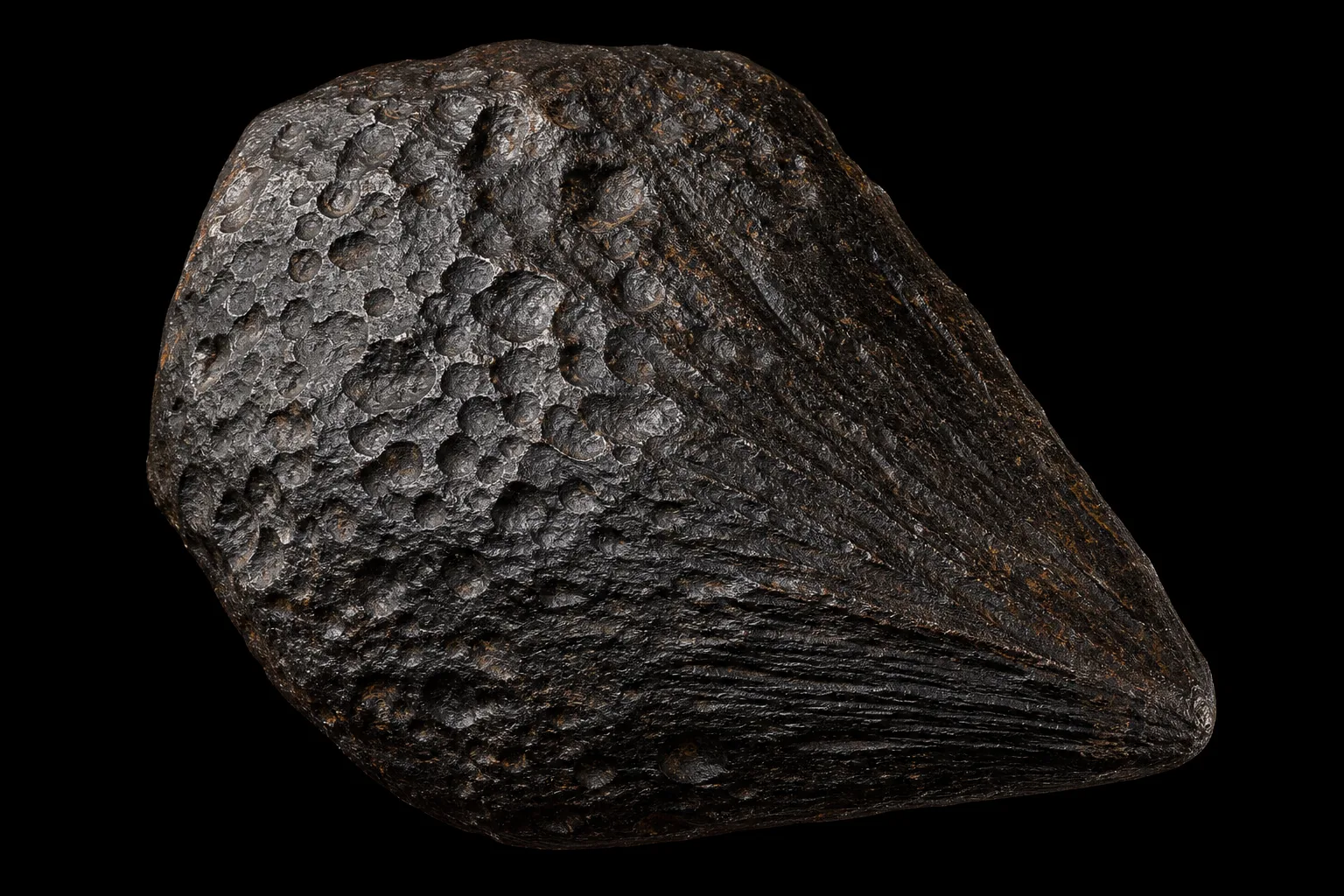 Corvid Fall meteorite — Irons, Corvid Pan, Argentina